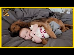 🐕 When we teach each other to grow up 🥰 Cute dog and their little angel friend