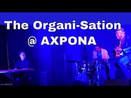 Groovin' With The Bobby Broom Organi-sation @ AXPONA 2