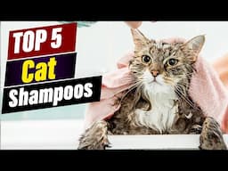 Best Cat Shampoos for Sensitive Skin: A Review