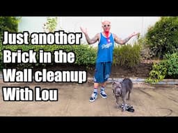 Just another brick in the wall, clean up with Lou