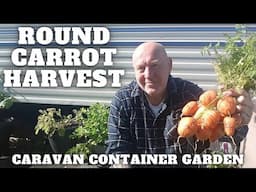 Container Carrot Harvest Container Gardening