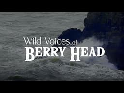 Wild Voices of Berryhead