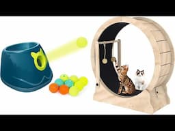 Top 5 Best Toys for Cats and Dogs on Amazon | JoysPets