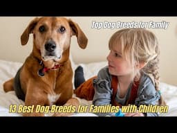 🐕 13 Best Dog Breeds for Families with Children 🐶 Top Dog Breeds for Family ✅