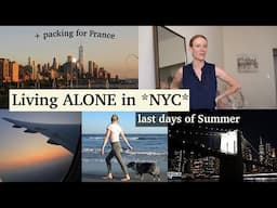 LIVING ALONE in NYC:  last days of SUMMER in the city, BOAT RIDE, surprise TRIP to France. NYC VLOG