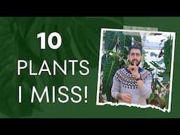 💚 The Top 10 Plants I’d Grow Again in a Heartbeat! 🌿