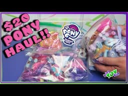 Were These Bags of My Little Ponies Worth $20???