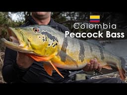 PEACOCK BASS / PAYARA  FISHING -  Colombia Adventure