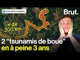 Jusqu’où peuvent aller les "tsunamis de boue" au Brésil ?