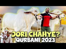 Jori Chahye? | Qurbani 2023