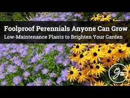 Foolproof Perennials Anyone Can Grow / Low-Maintenance Plants to Brighten Your Garden