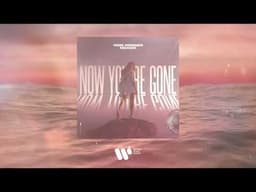 Vion Konger & Nexeri — Now You're Gone | Official Audio