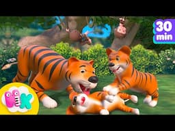 Jungle Animal Song 🐯🐍 Discover animals for Kids! | HeyKids Nursery Rhymes