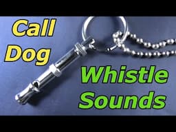 Dog Whistle Sound to Call Dog