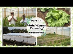 Multi-Layer Farming (greenhouse) : Explained | Part 4