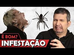 INFESTAÇÃO é bom? - Vale Crítica