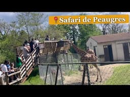 Safari de Peaugres 🦒🦓🦏🐫🦙🦭🐻 🇫🇷