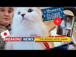 Life in Japan: Cat Attacks Vet and Shopping Haul