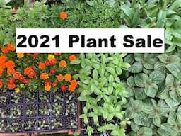 Plant Sale 2021