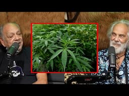 Is Marijuana Stronger Now Than Its Ever Been?  | Wild Ride! Clips