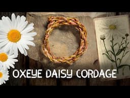 Oxeye Daisy Cordage | Cordage from foraged fibres | Ep 4