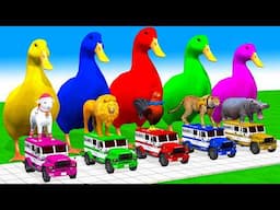 5 Giant Duck Cartoon, Cow, Elephant, Tiger, Paint Wild Animals Crossing Fountain Animation