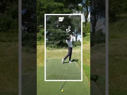 The PGA TOUR PRO Swing Shape