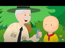 Caillou Meets the Park Ranger | Caillou - WildBrain