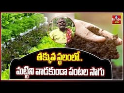 తక్కువ స్థలంలో.. మట్టిని వాడకుండా పంటల సాగు |  Soil Less Farming and other cultivation | hmtv agri