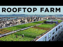 How this Rooftop Grew 20,000 lbs of Food