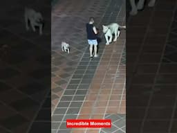 Incredible Moments Caught On CCTV Camera #shorts