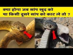 What Happens When a Snake's Worst Enemy is ITSELF | क्या होगा जब सांप खुद या दूसरे सांप को काट ले |