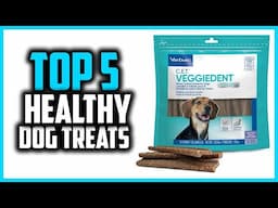 ✅Top 5 Best Healthy Dog Treats in 2025