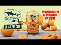 Dogfish Head Quick Sip Clip: Mandarin & Mango Crush 2024