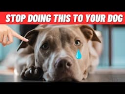 10 Unintentional Ways You Might Be Harming Your Pit bull!