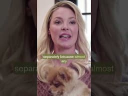 How Are Katherine Heigl's Rescues Settling into Their New Life