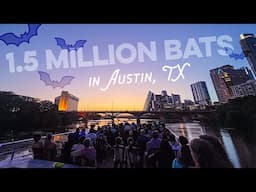 How to See the Austin Bats