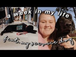 a week in my life (feat. my service dog)