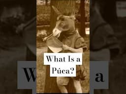 Ireland’s most mischievous supernatural spirit, the púca, defined #folklore #ireland