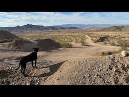 My Homesteading Desert Life