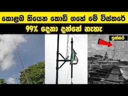 කොළඹ තියෙන කොඩි ගහේ මේ විස්තරේ | 99% දෙනා මේ විස්තරේ දන්නේ නැහැ | #wishwadanuma #knowledge #kodigaha