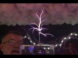 Will a Tesla Coil burn a flower or light a bulb?