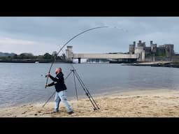 Chasing COD in the CONWY ESTUARY❗️ UK Sea Fishing