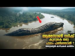 Journey to Amazon Bridge | ആമസോൺ നദിക്ക് കുറുകെ പാലം പണിയാത്തത് എന്ത്കൊണ്ട് | Secrets of Amazon