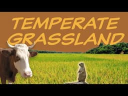 Explore the TEMPERATE GRASSLAND Biome 🌽 Nature Ecology & Environment