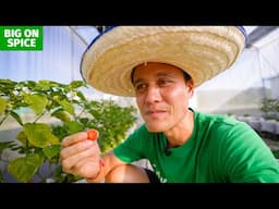 I ate a GHOST PEPPER!! 🌶️ Real Organic Food Farm in Chiang Mai, Thailand!