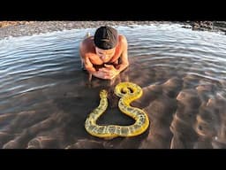 Exploring For Venomous Sea Animals In Tide Pools