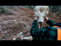 Lots Going On Over Here | Deer Hunting Northern Maine