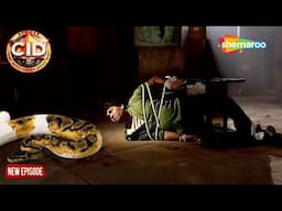 CID Lost Series | Abhijeet का हुआ फिर से Memory Loss Part 2 | CID | New Season | 21 Nov 2024