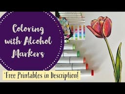 Coloring with Alcohol Markers